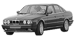 BMW E34 P0333 Fault Code