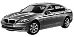 BMW F10 P0333 Fault Code